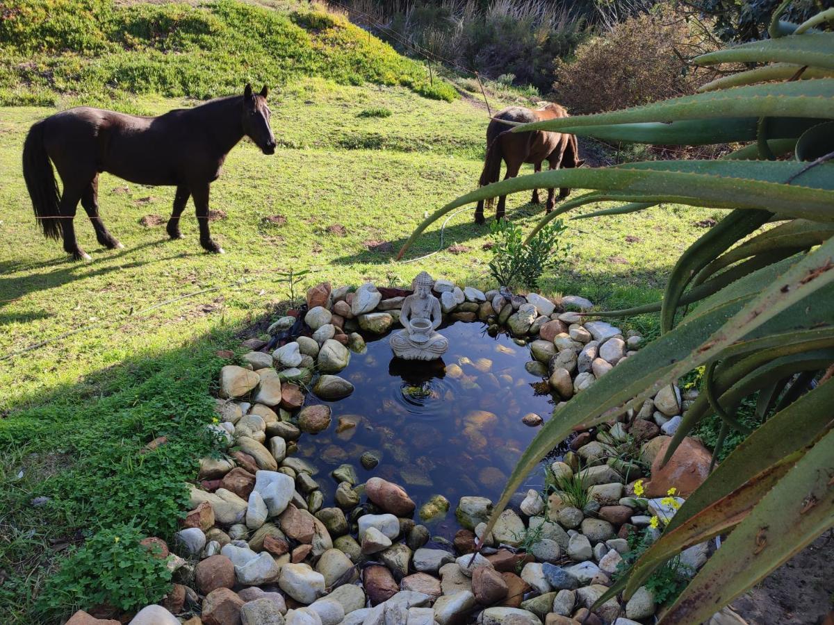 The Riverstone - Romantic Hideaway By The River - Loadshedding Free! Napier Bagian luar foto